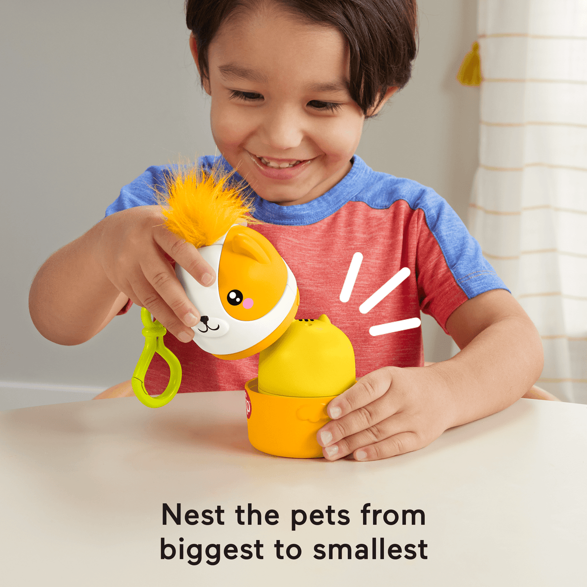 Fisher-Price FP Pets On-The-Go Nesting Pets Stacking Toy For Preschool Kids, 4 Pieces